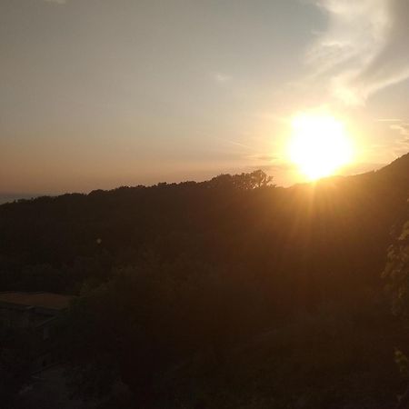 Apartman "Marko" Bar Dış mekan fotoğraf