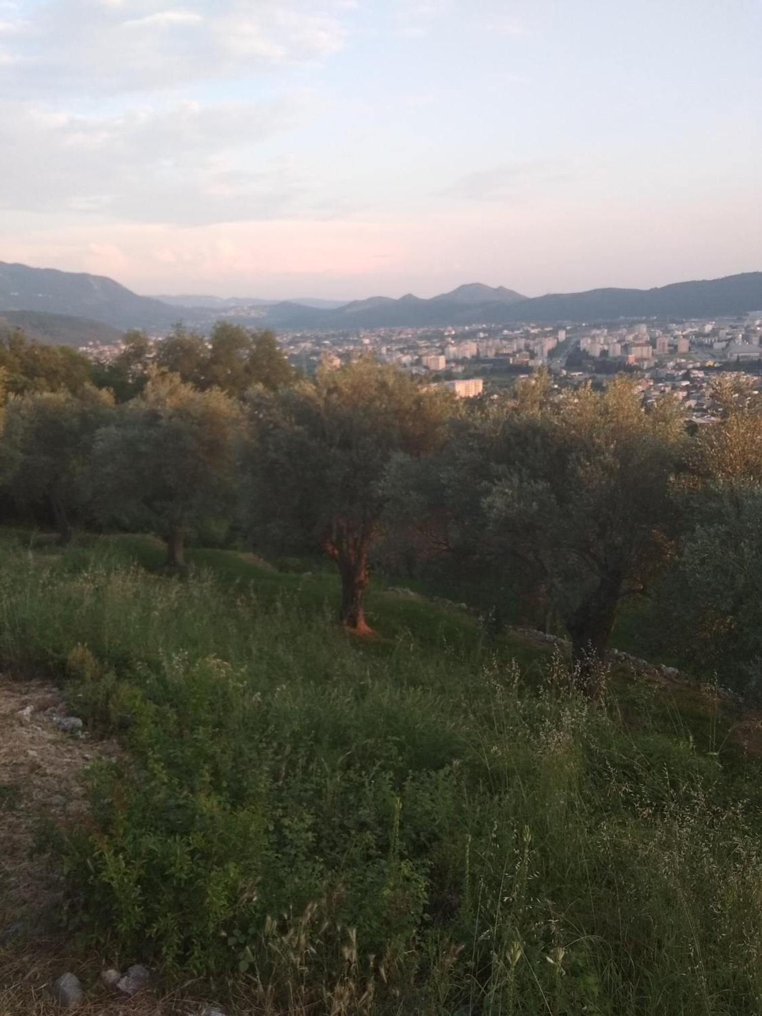 Apartman "Marko" Bar Dış mekan fotoğraf