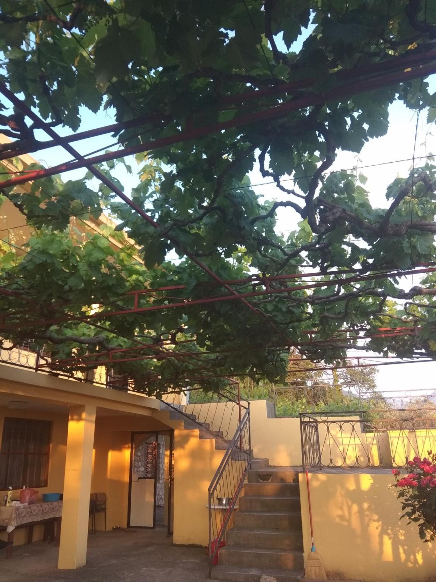 Apartman "Marko" Bar Dış mekan fotoğraf
