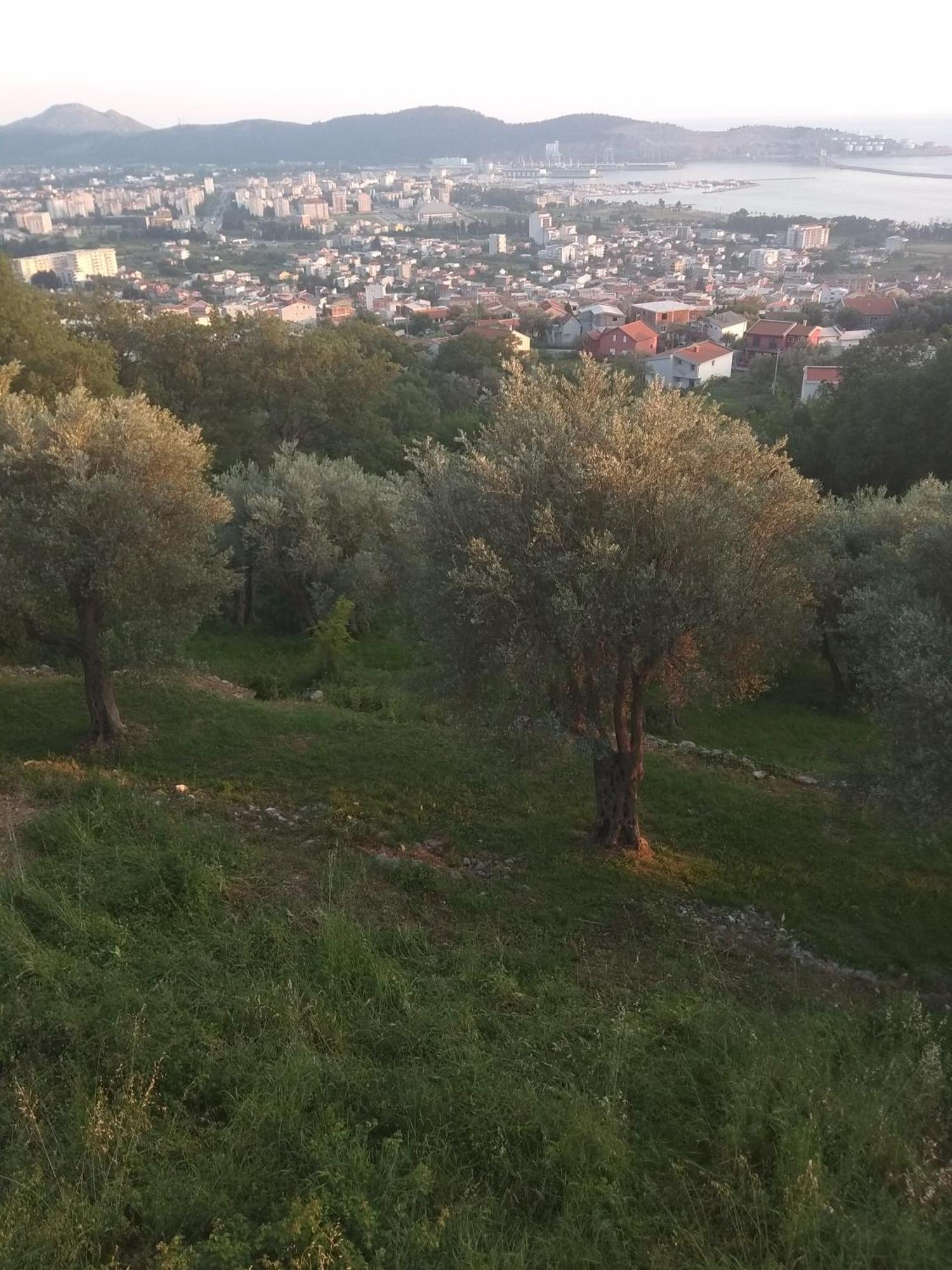Apartman "Marko" Bar Dış mekan fotoğraf