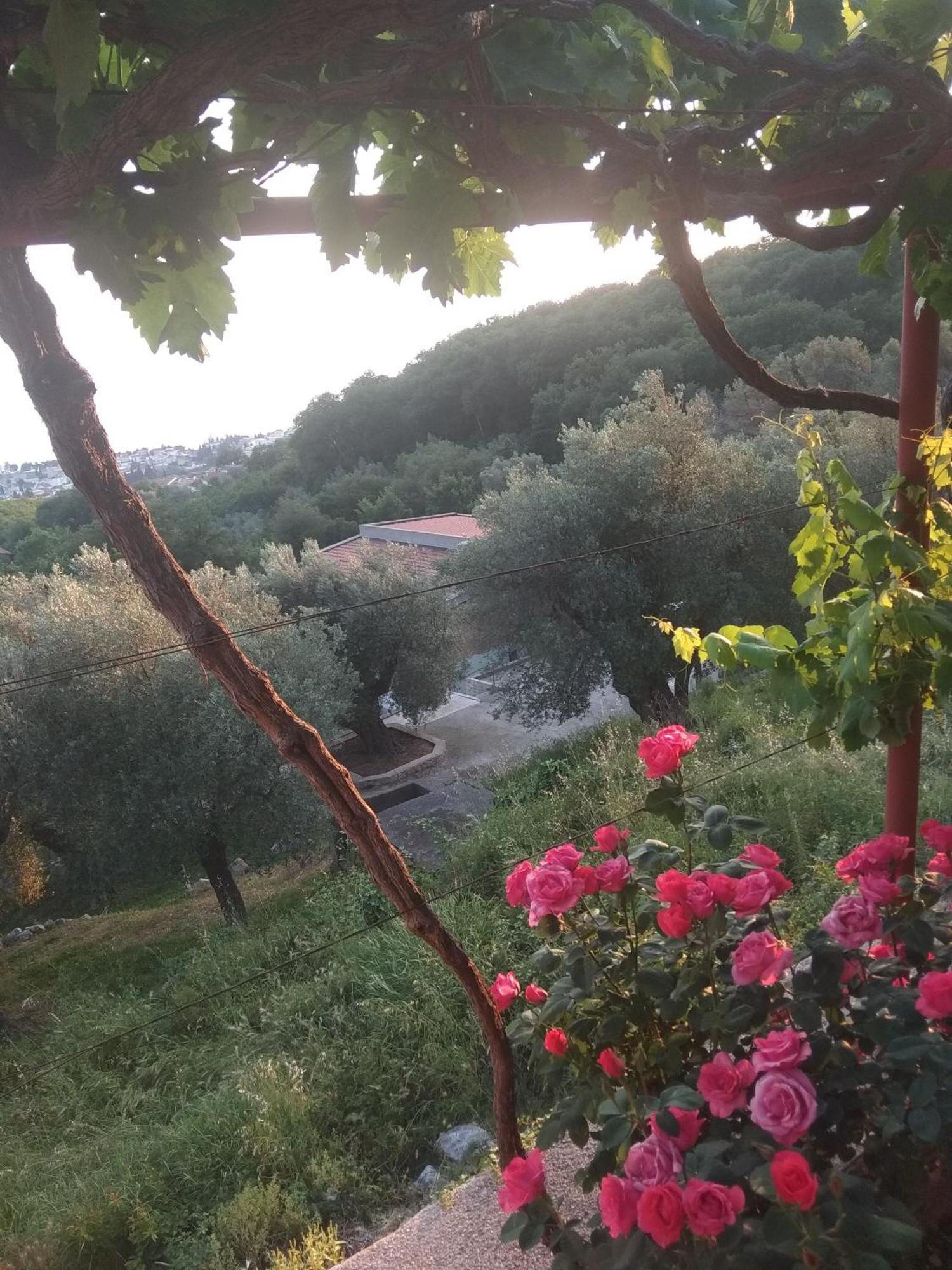 Apartman "Marko" Bar Dış mekan fotoğraf
