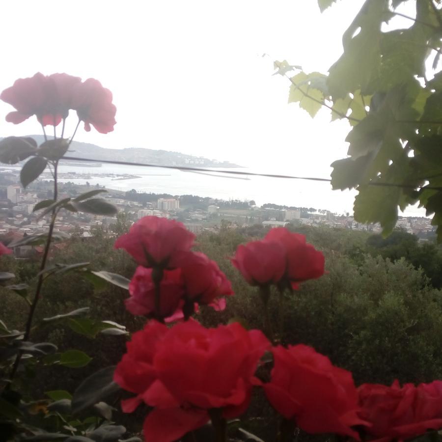 Apartman "Marko" Bar Dış mekan fotoğraf